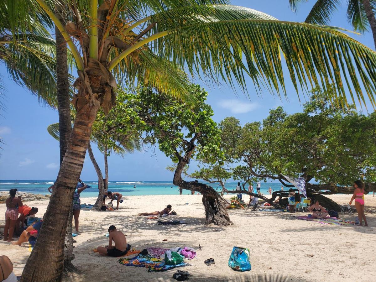 Villa L'Anjou Creole A Sainte Anne En Guadeloupe Avec Piscine Privee Et 2 Chambres Pour 4 Personnes 外观 照片