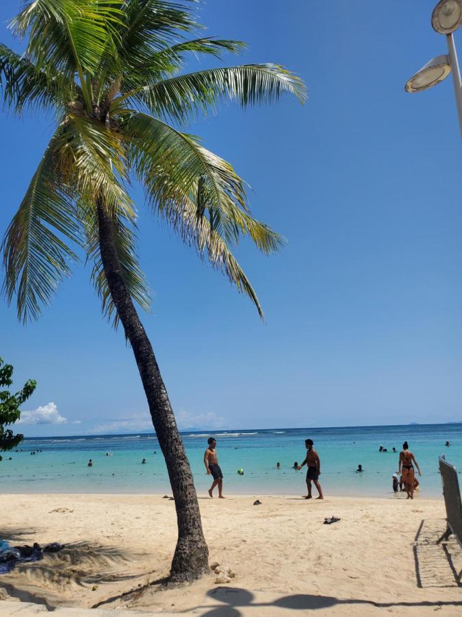 Villa L'Anjou Creole A Sainte Anne En Guadeloupe Avec Piscine Privee Et 2 Chambres Pour 4 Personnes 外观 照片