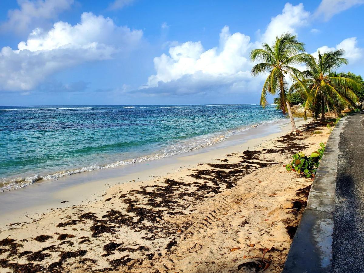 Villa L'Anjou Creole A Sainte Anne En Guadeloupe Avec Piscine Privee Et 2 Chambres Pour 4 Personnes 外观 照片