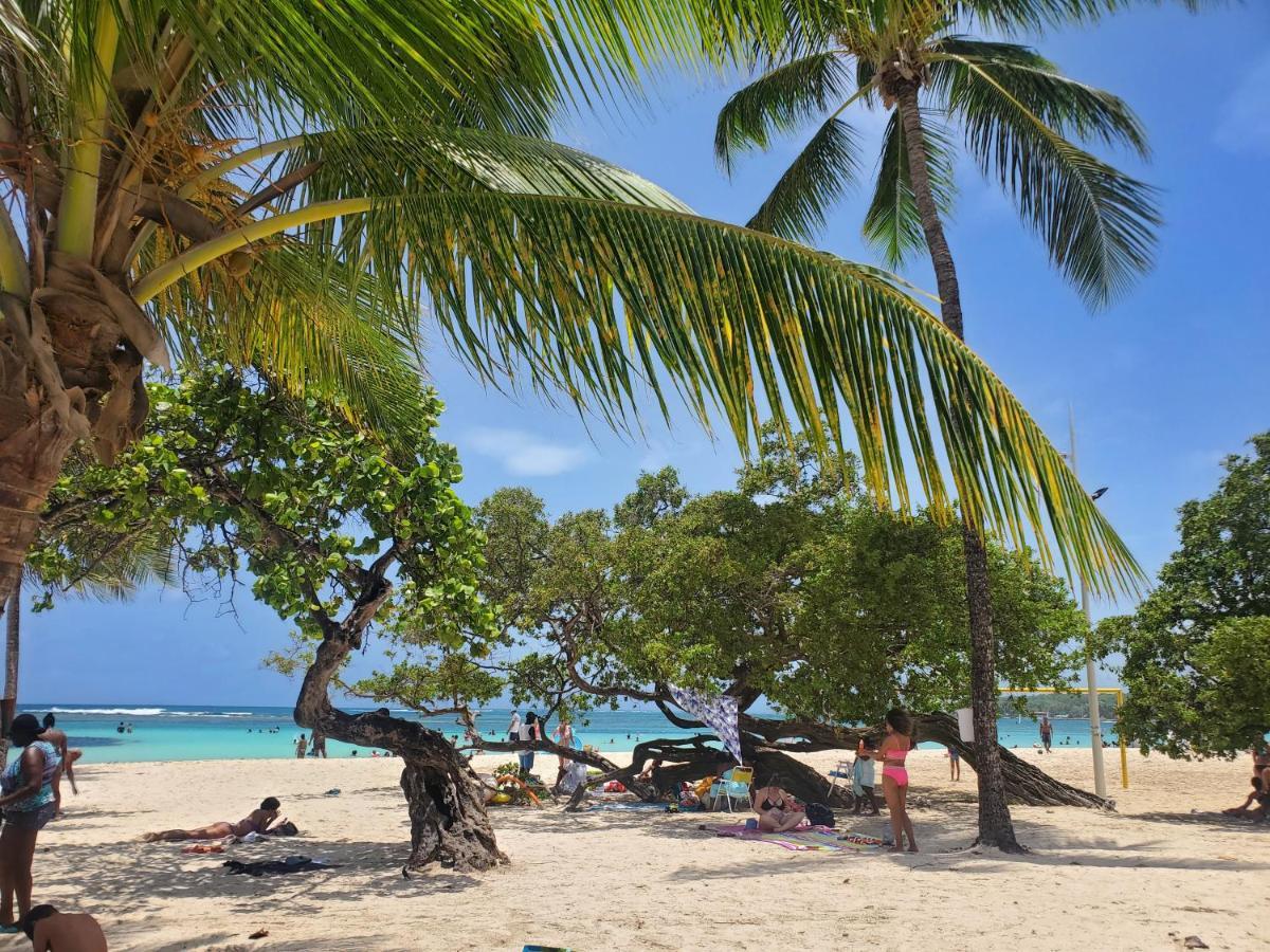 Villa L'Anjou Creole A Sainte Anne En Guadeloupe Avec Piscine Privee Et 2 Chambres Pour 4 Personnes 外观 照片
