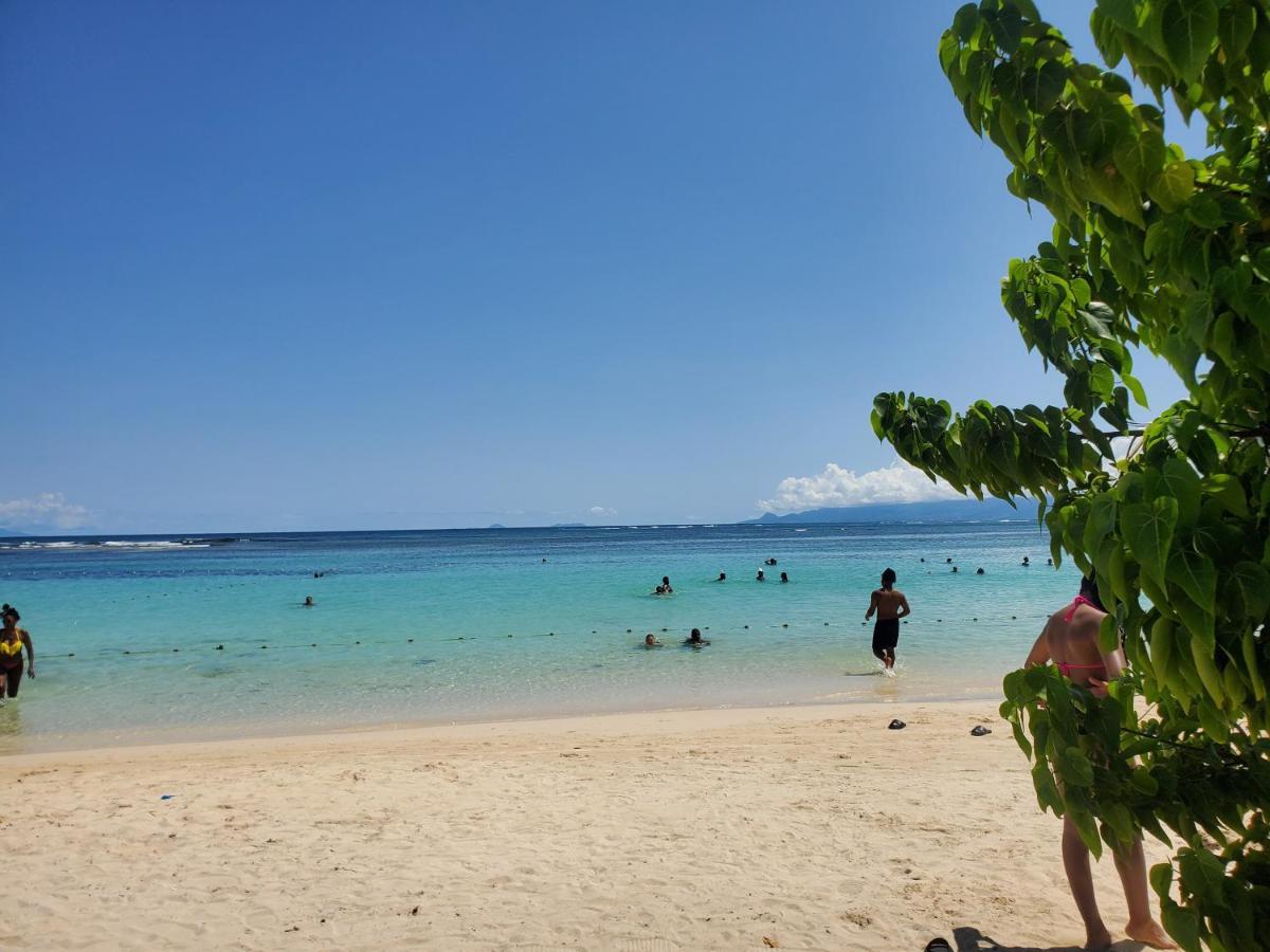 Villa L'Anjou Creole A Sainte Anne En Guadeloupe Avec Piscine Privee Et 2 Chambres Pour 4 Personnes 外观 照片
