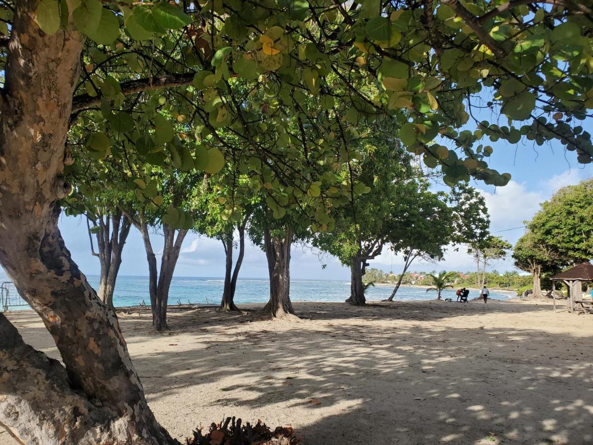 Villa L'Anjou Creole A Sainte Anne En Guadeloupe Avec Piscine Privee Et 2 Chambres Pour 4 Personnes 外观 照片