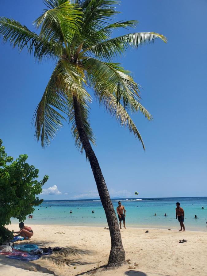 Villa L'Anjou Creole A Sainte Anne En Guadeloupe Avec Piscine Privee Et 2 Chambres Pour 4 Personnes 外观 照片