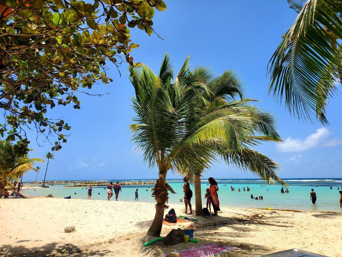 Villa L'Anjou Creole A Sainte Anne En Guadeloupe Avec Piscine Privee Et 2 Chambres Pour 4 Personnes 外观 照片