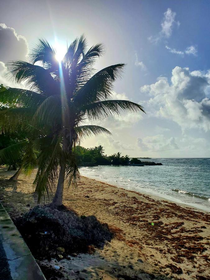 Villa L'Anjou Creole A Sainte Anne En Guadeloupe Avec Piscine Privee Et 2 Chambres Pour 4 Personnes 外观 照片