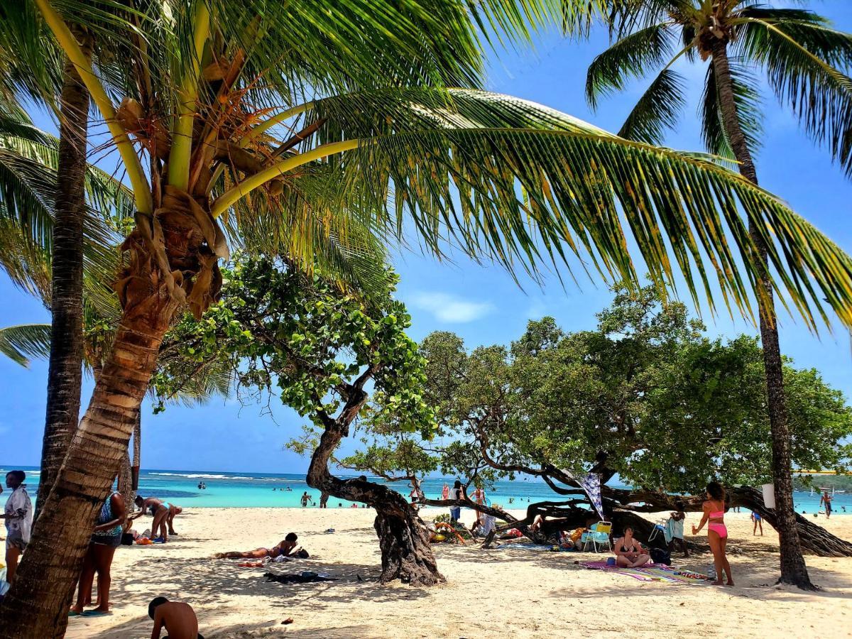 Villa L'Anjou Creole A Sainte Anne En Guadeloupe Avec Piscine Privee Et 2 Chambres Pour 4 Personnes 外观 照片