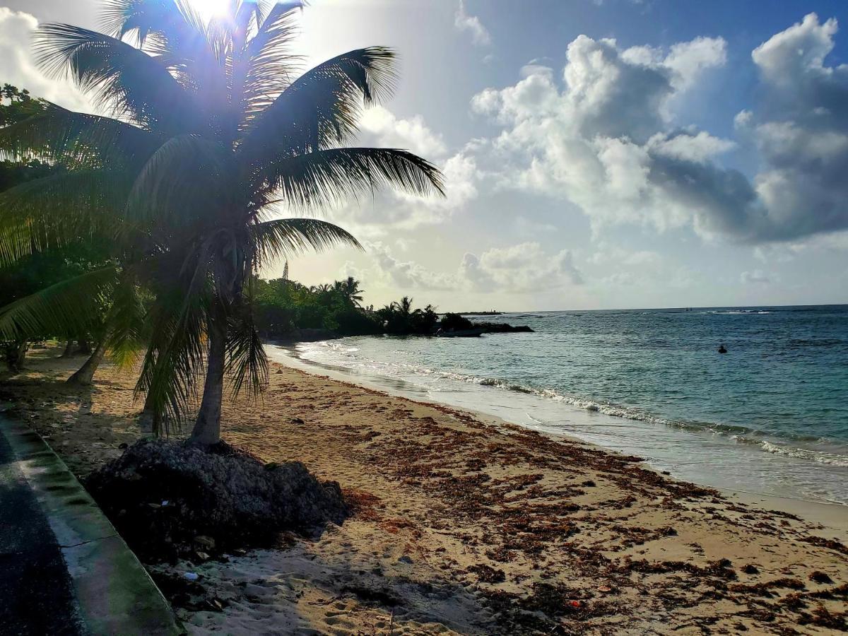 Villa L'Anjou Creole A Sainte Anne En Guadeloupe Avec Piscine Privee Et 2 Chambres Pour 4 Personnes 外观 照片