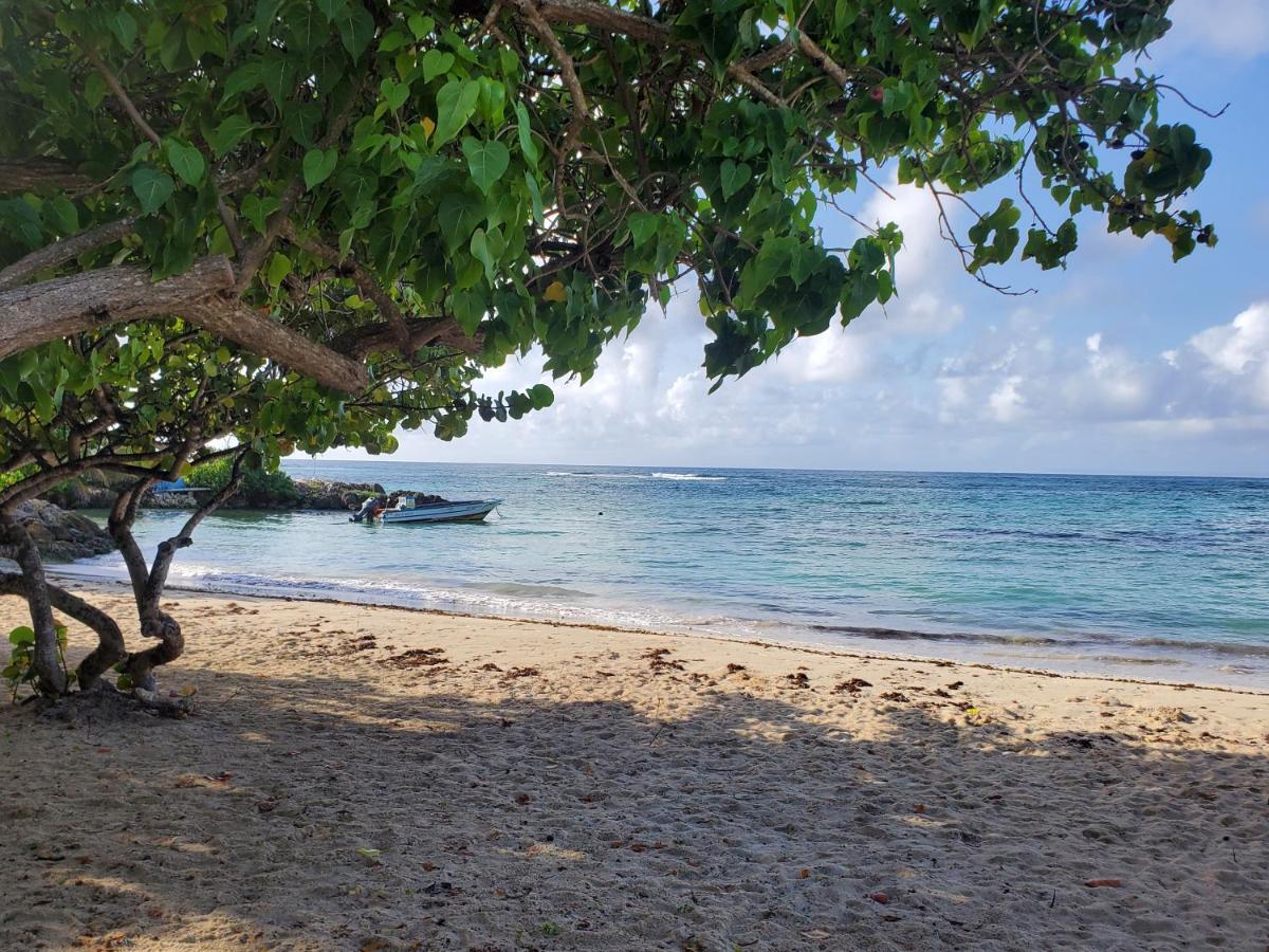 Villa L'Anjou Creole A Sainte Anne En Guadeloupe Avec Piscine Privee Et 2 Chambres Pour 4 Personnes 外观 照片