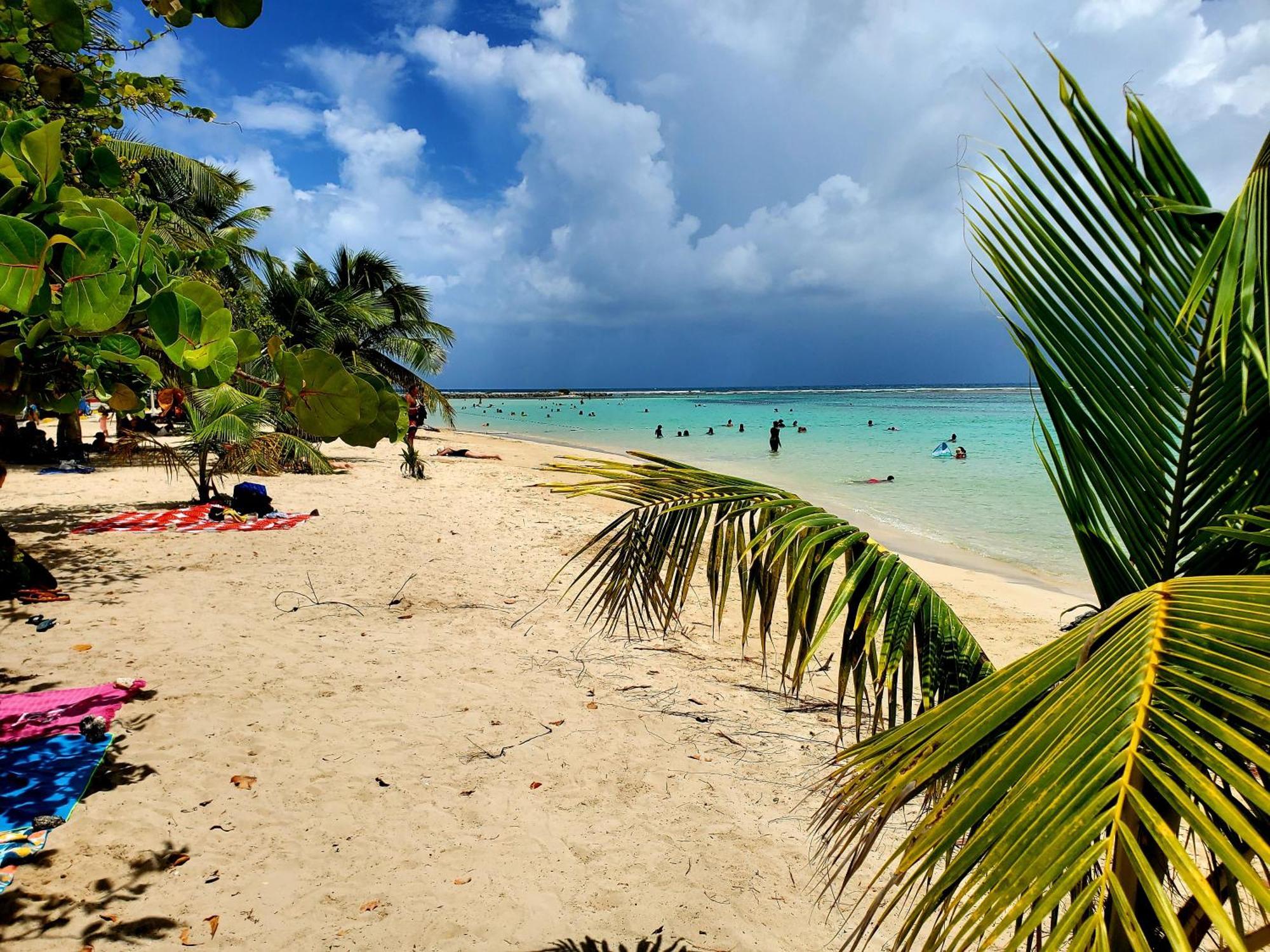 Villa L'Anjou Creole A Sainte Anne En Guadeloupe Avec Piscine Privee Et 2 Chambres Pour 4 Personnes 外观 照片