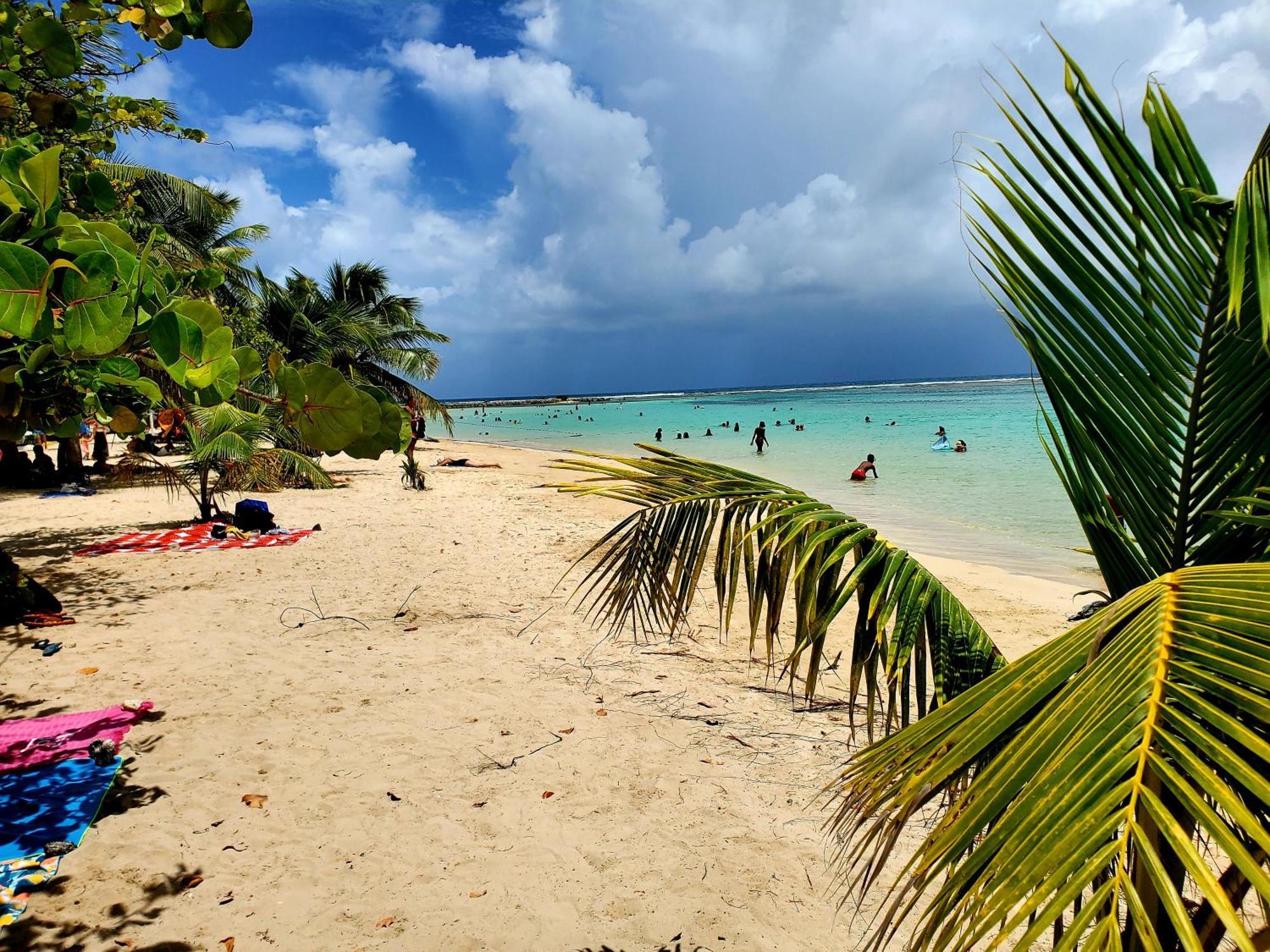 Villa L'Anjou Creole A Sainte Anne En Guadeloupe Avec Piscine Privee Et 2 Chambres Pour 4 Personnes 外观 照片